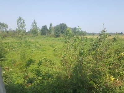 ویلای تک خوابه با امکانات کامل