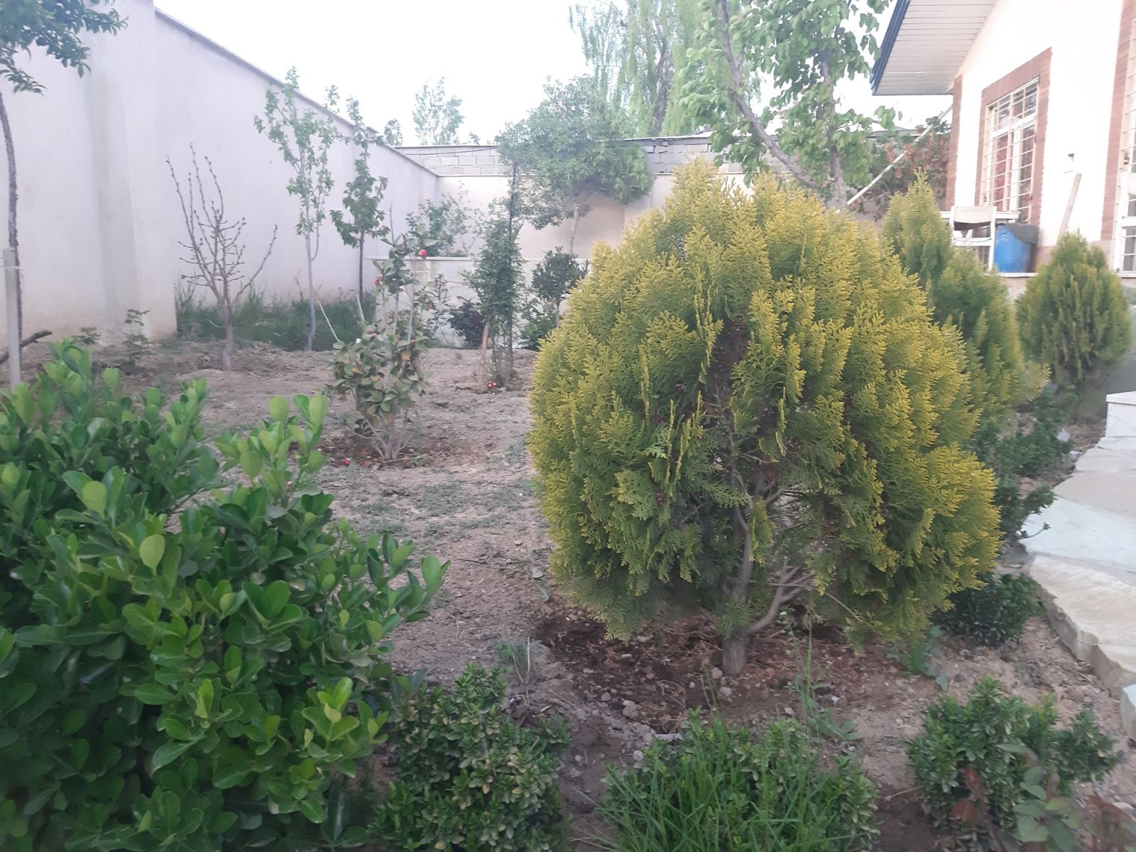نمای بیرونی ساختمان