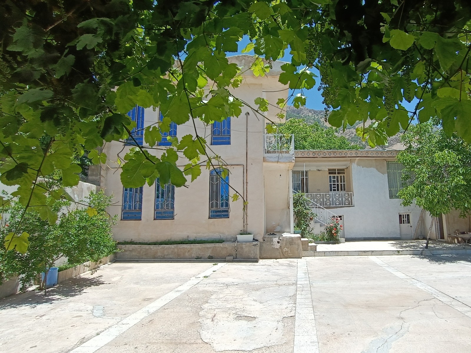 حیاط مشترک