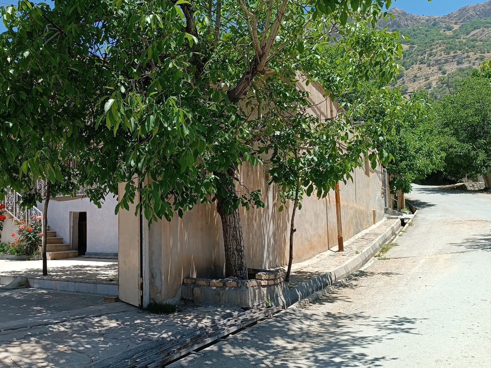 کوچه جلوی خانه