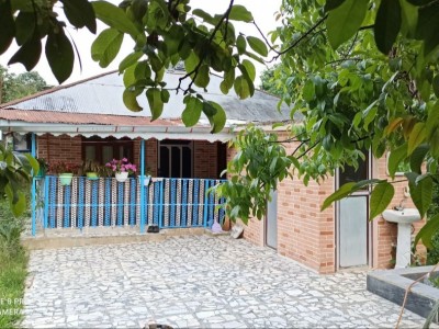 " کلبه کوهستانی ماسال "