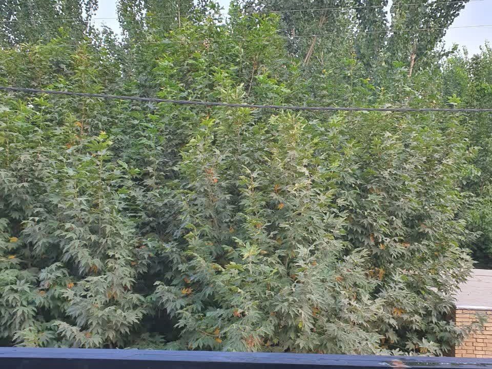 نمای بیرونی ساختمان