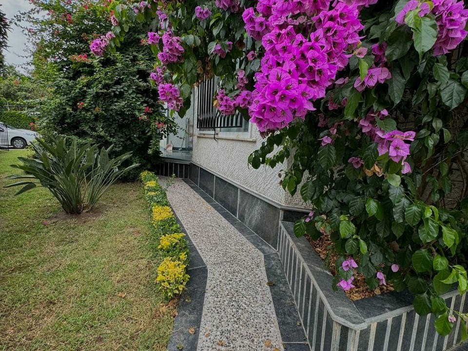 نمای بیرونی ساختمان
