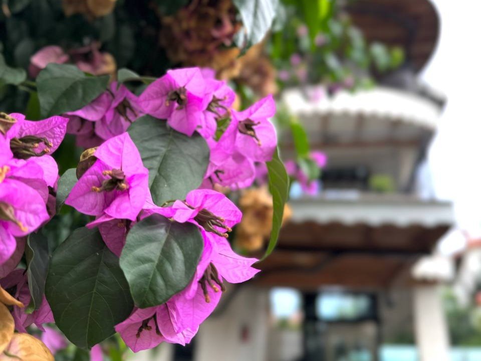 نمای بیرونی ساختمان