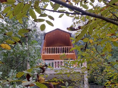 "کلبه سوئیسی پناه"