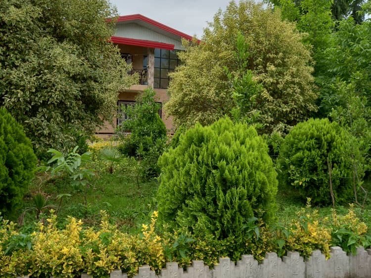 نمای بیرونی ساختمان