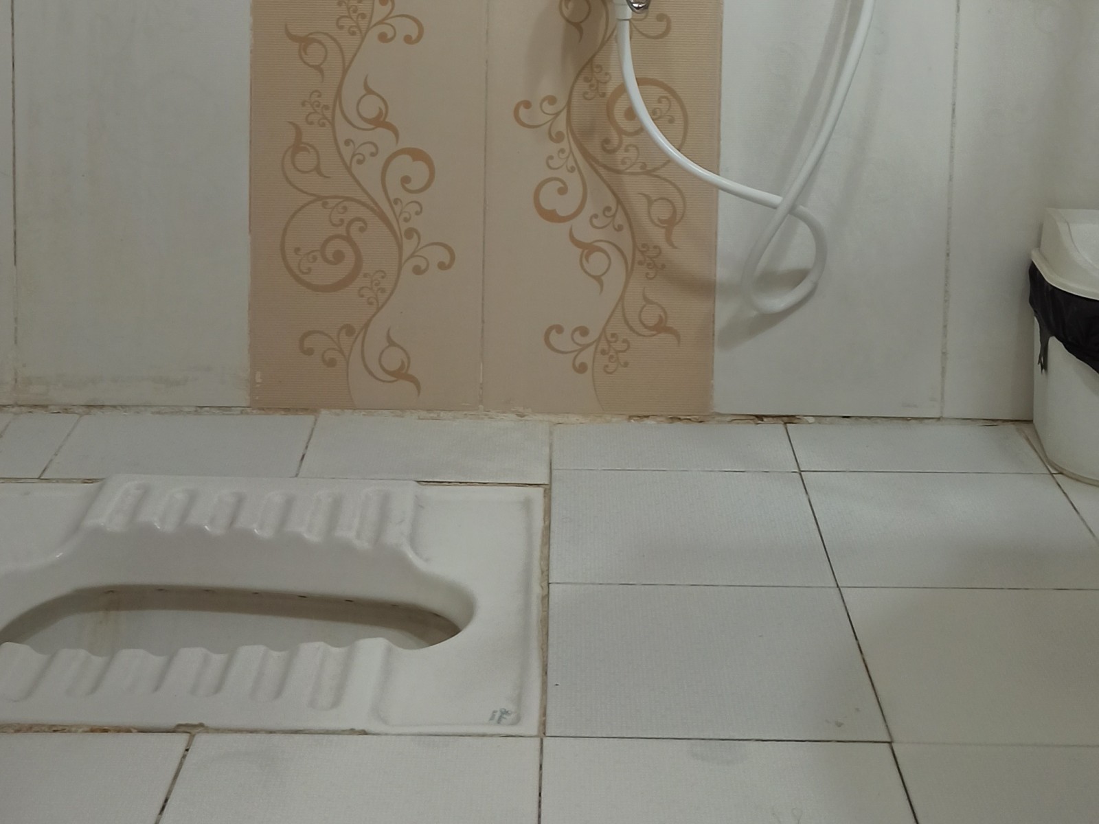 سرویس بهداشتی