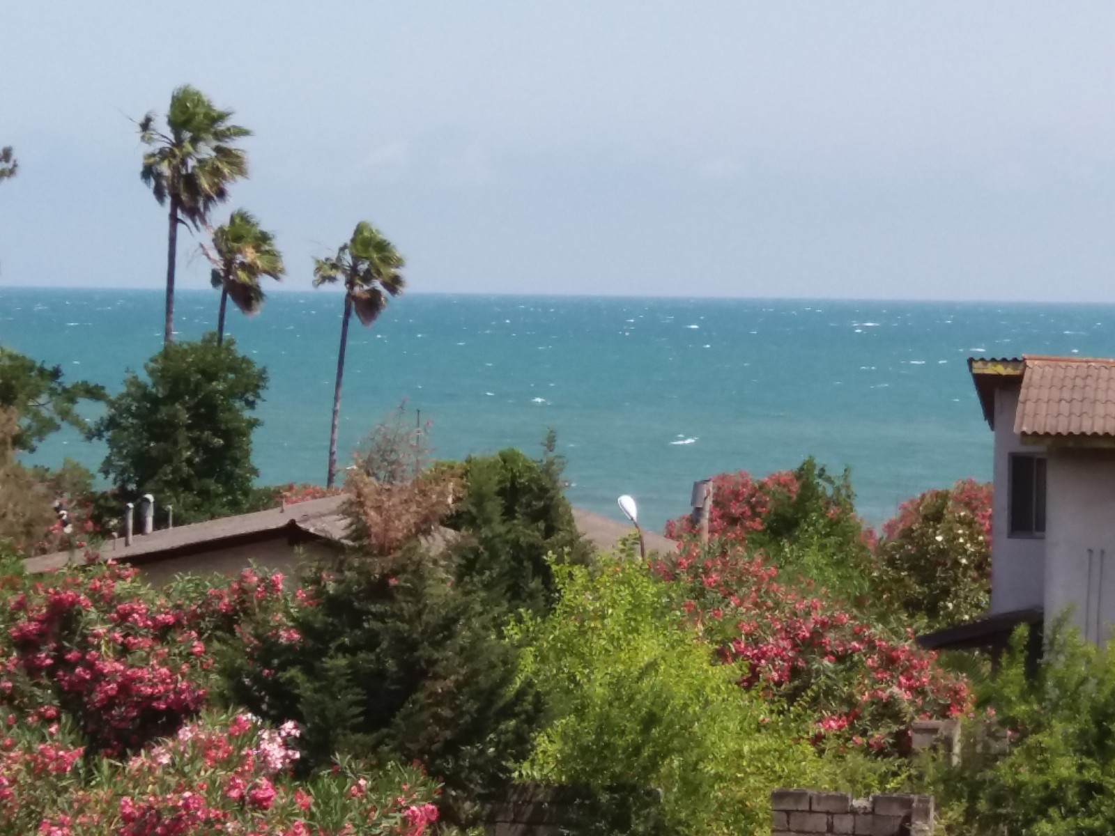 ویوی بالکن ویوی بالکن