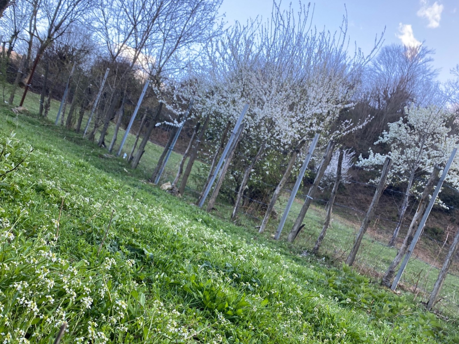 نمای بیرونی ساختمان