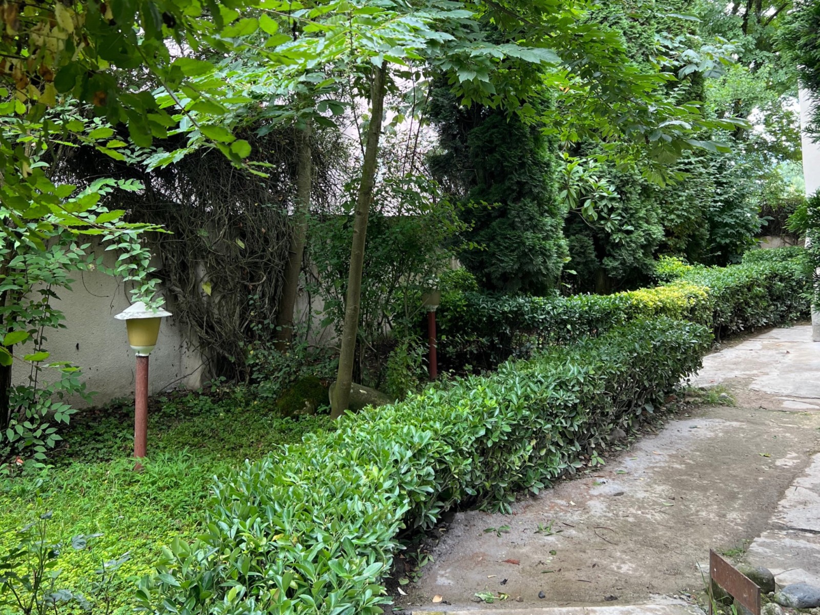 حياط و فضاي سبز حياط و فضاي سبز