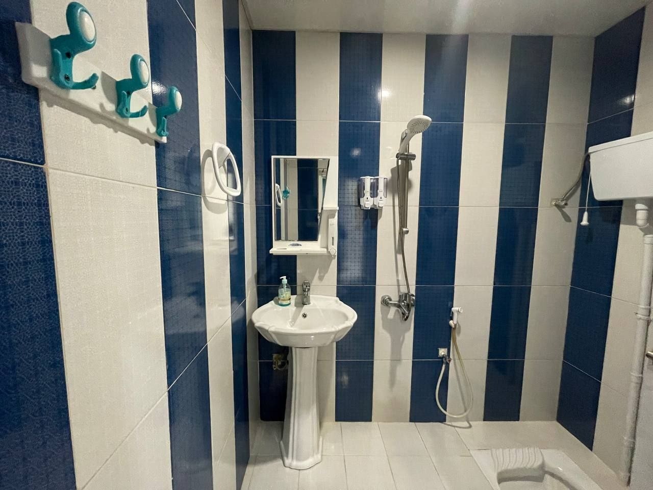 سرویس بهداشتی