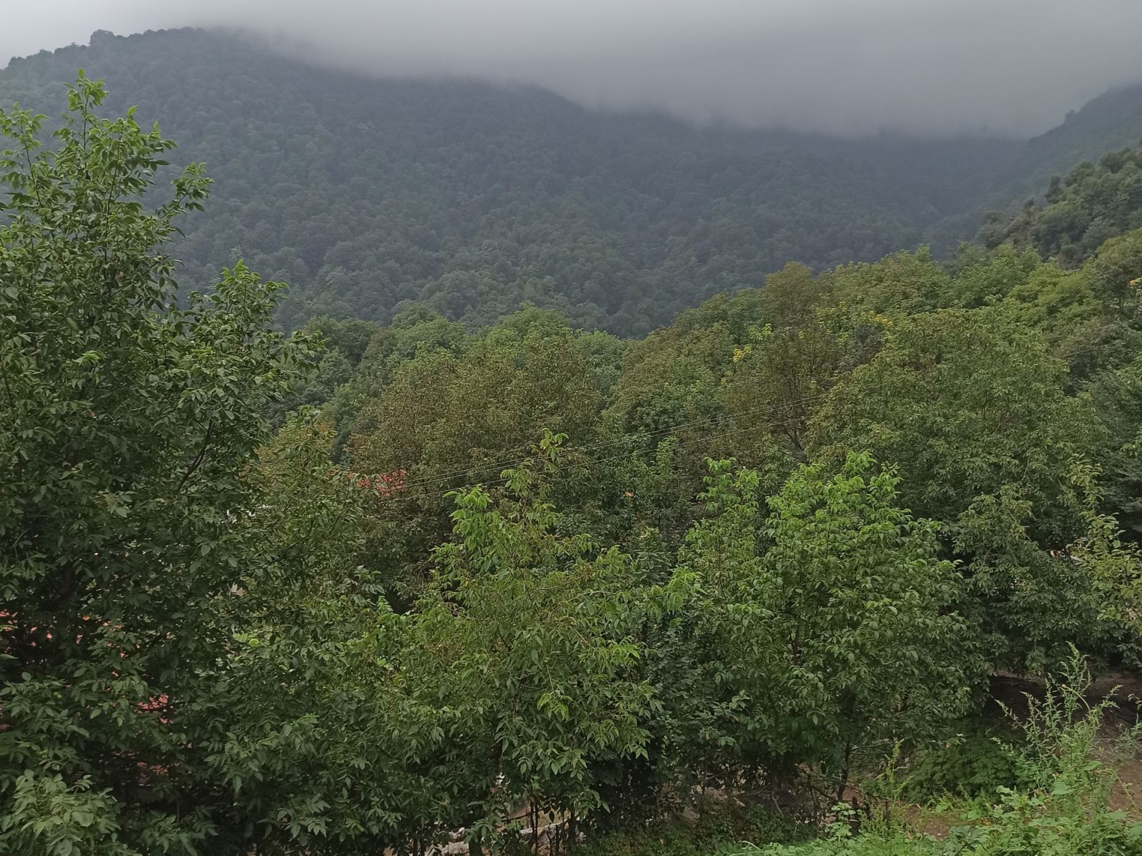 نمای بیرونی ساختمان نمای بیرونی ساختمان