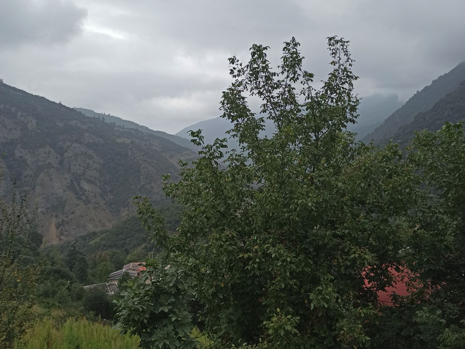 نمای بیرونی ساختمان نمای بیرونی ساختمان