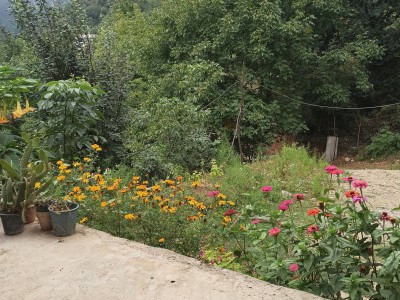 ویلا دوخوابه جنگلی کنار آبشار