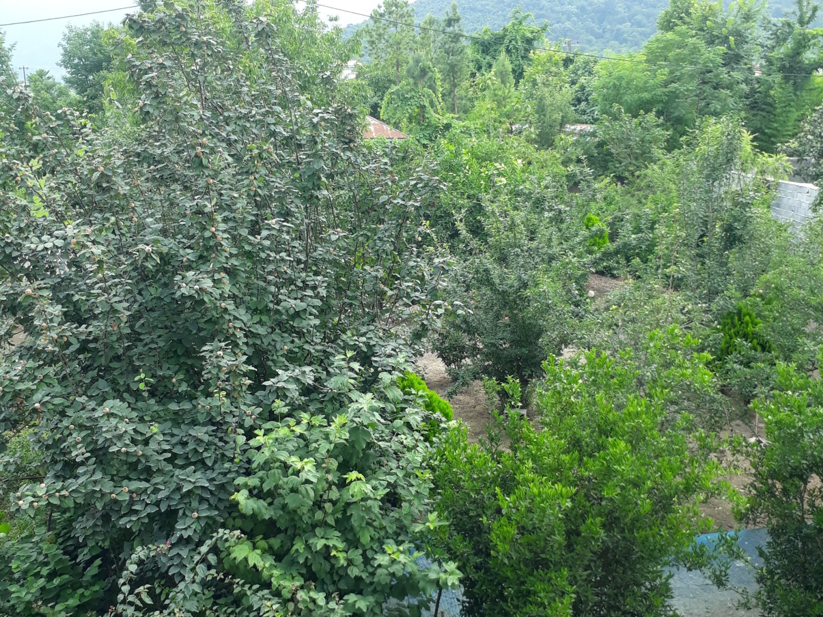 نمای بیرونی ساختمان نمای بیرونی ساختمان