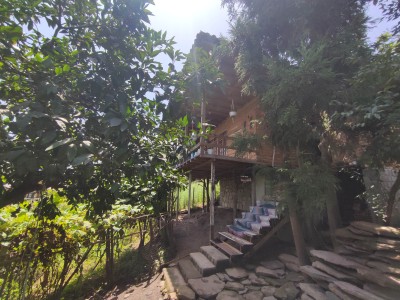 کلبه چوبی نسوم