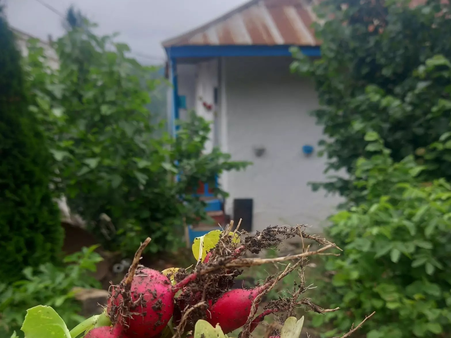 نمای ساختمان