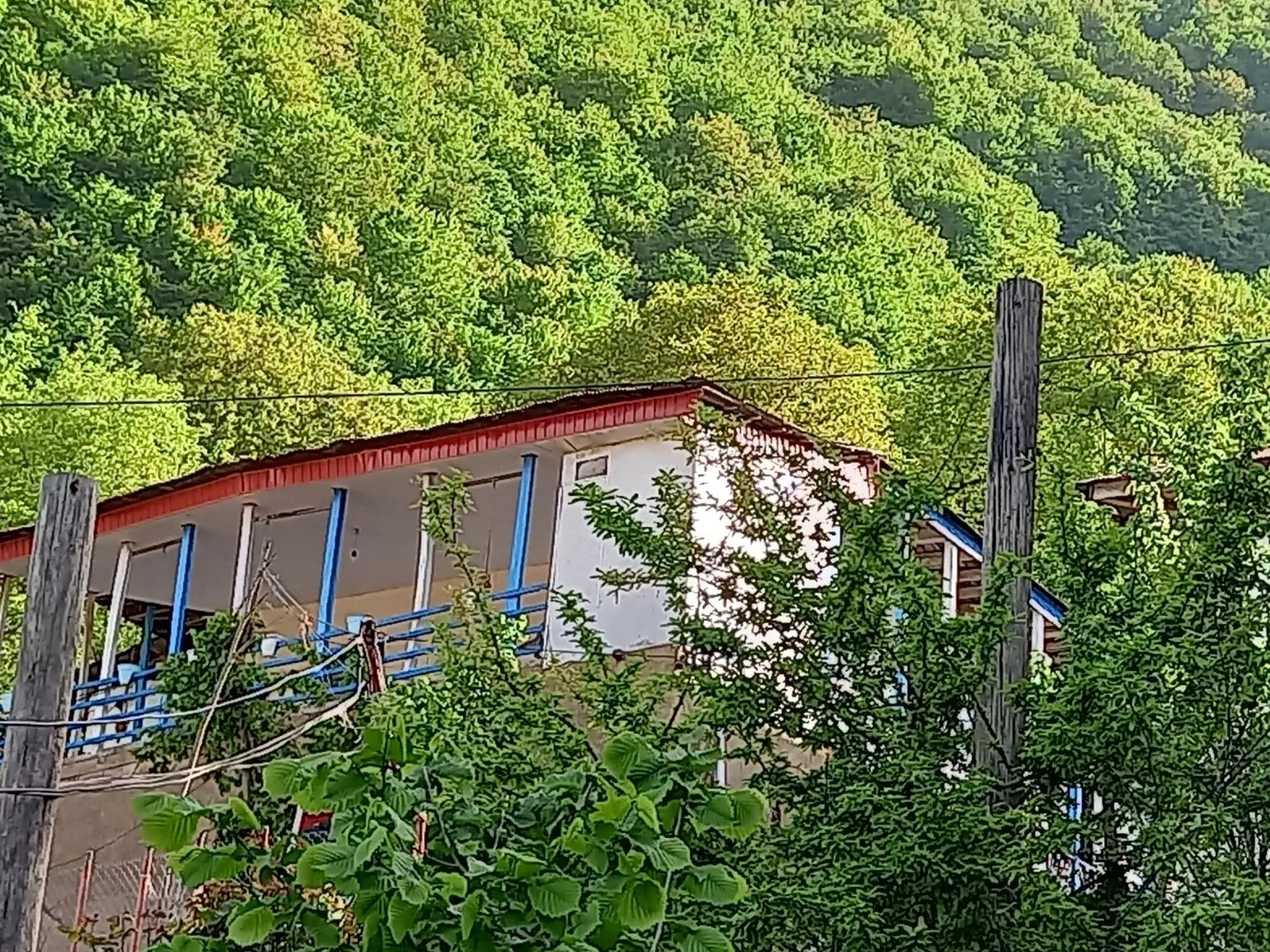 نمای ساختمان