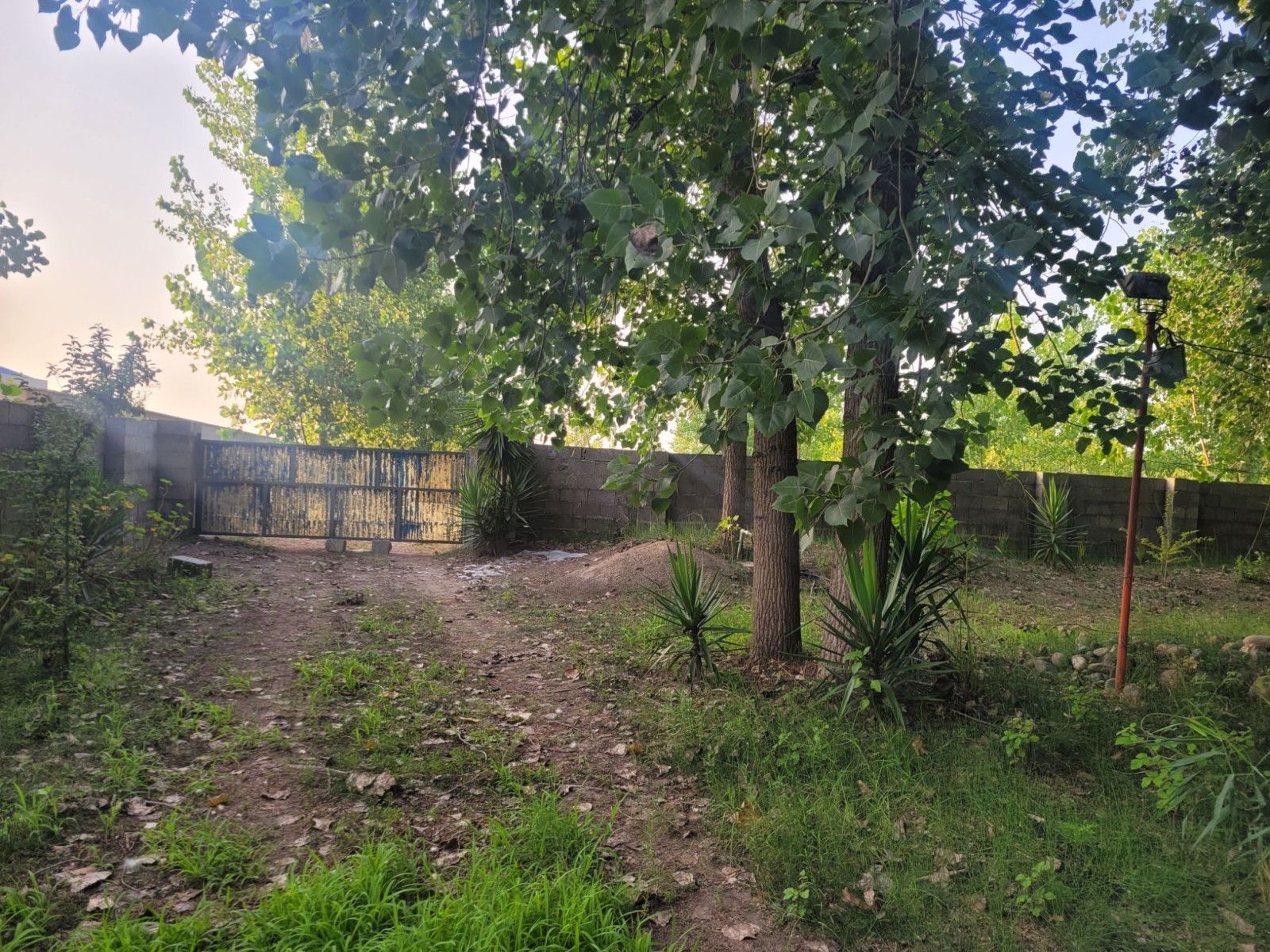 دروازه شمالی حیاط برای رفتن به ساحل