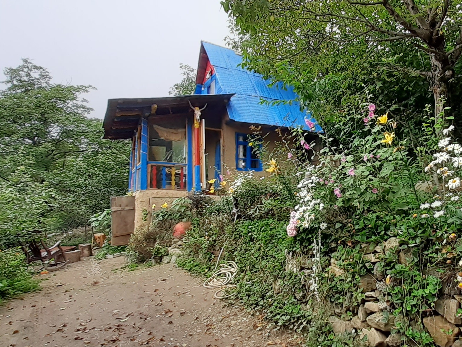 حیاط