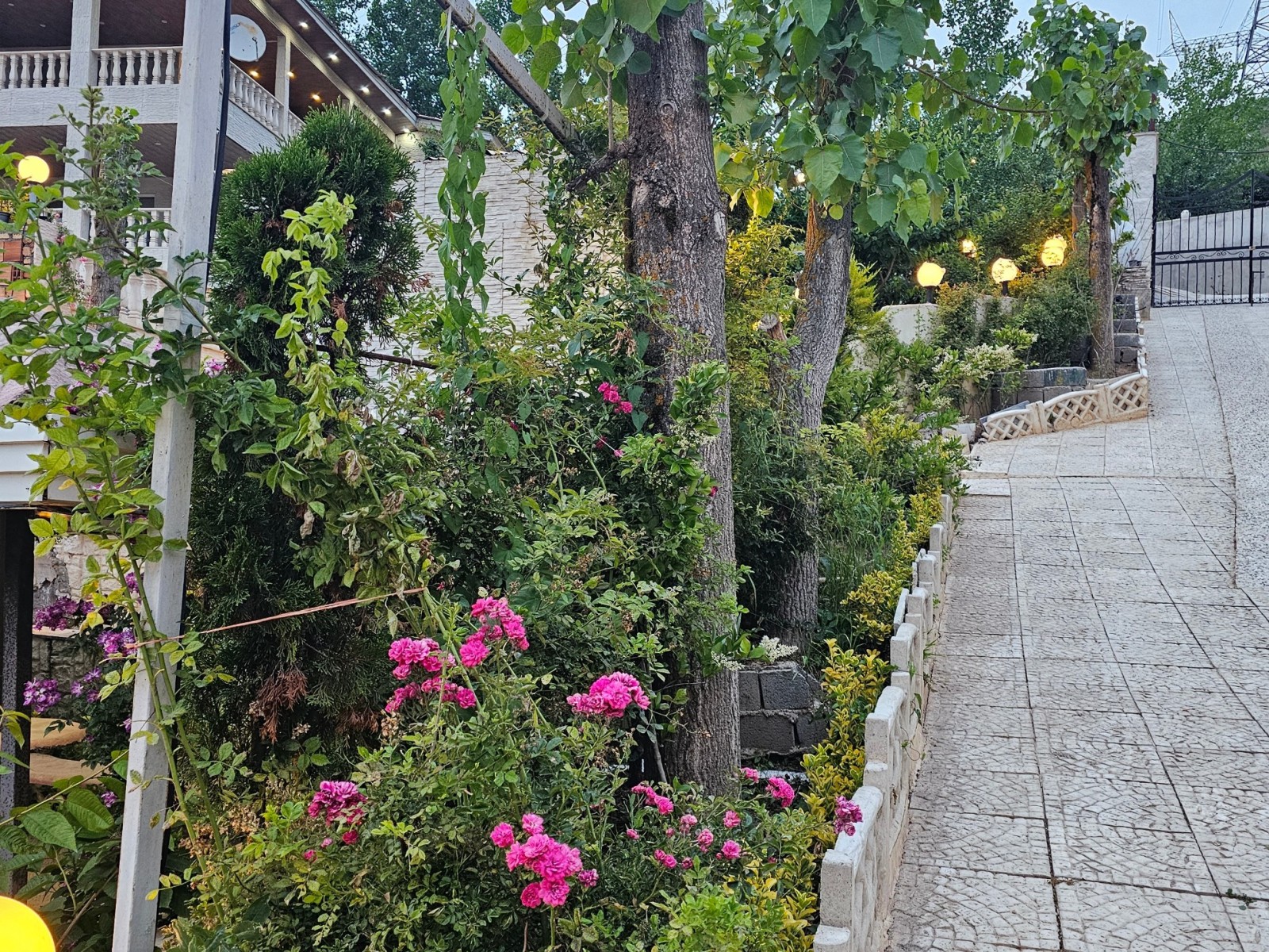 محوطه محوطه