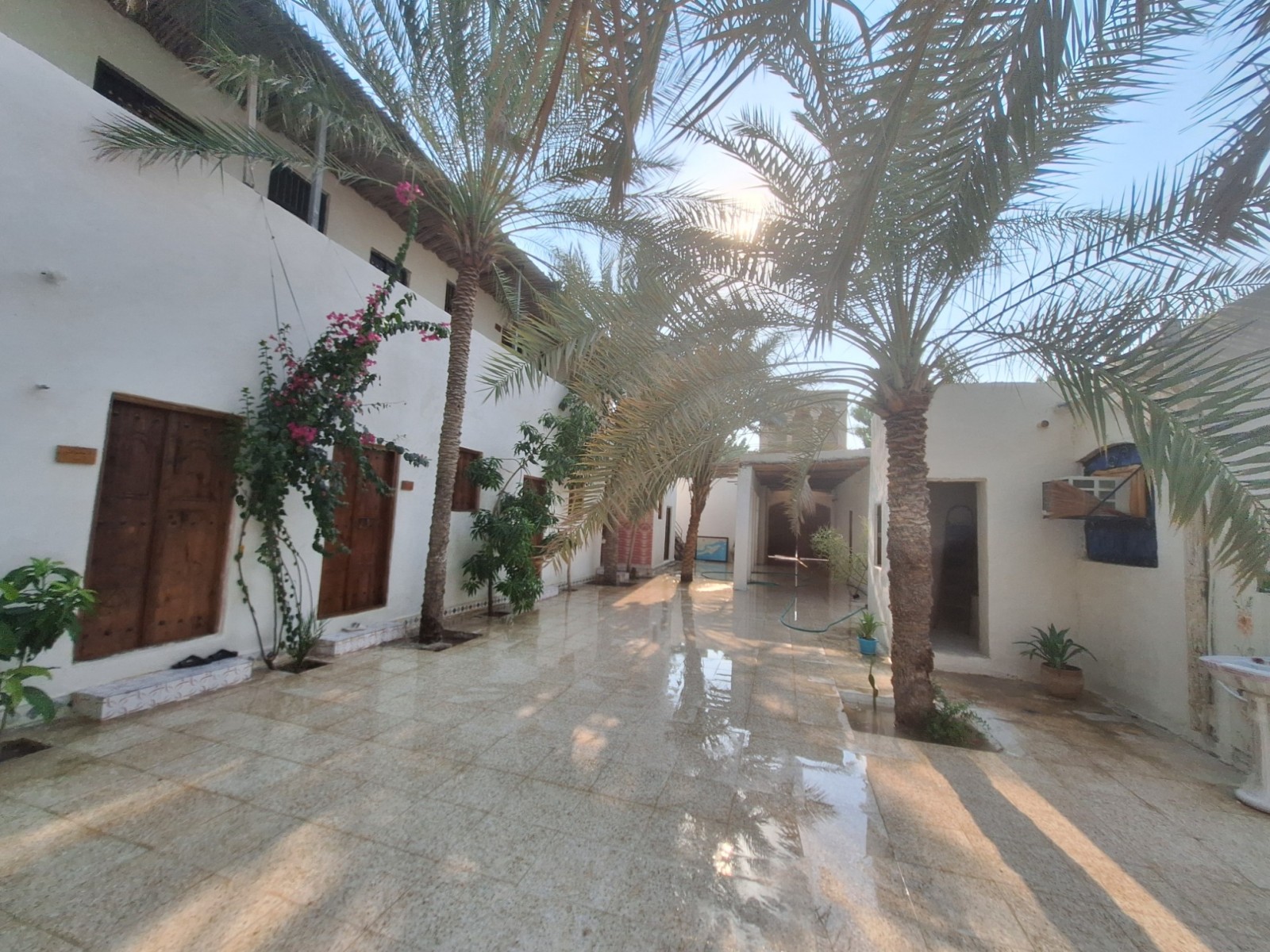 حیاط
