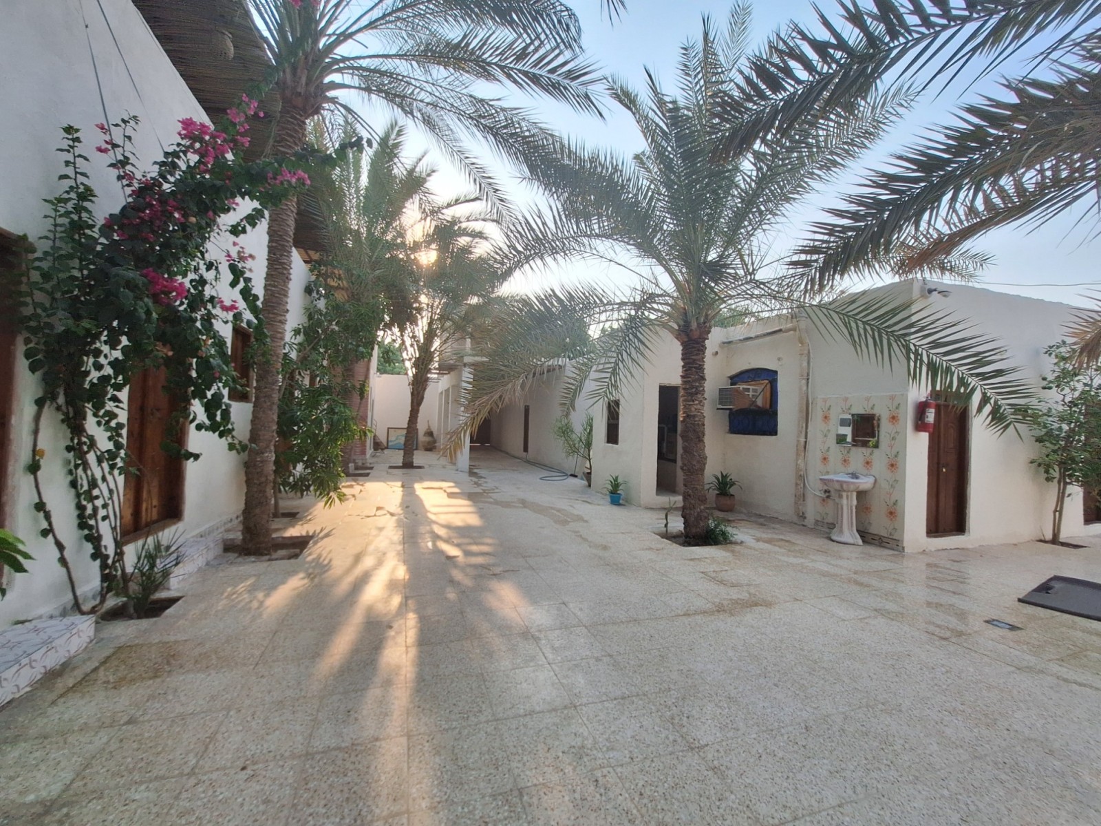 حیاط