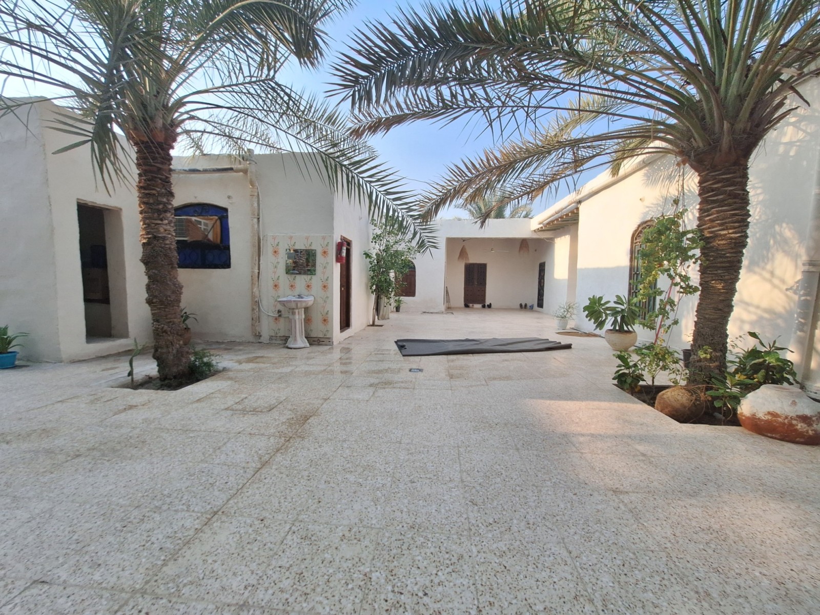 حیاط