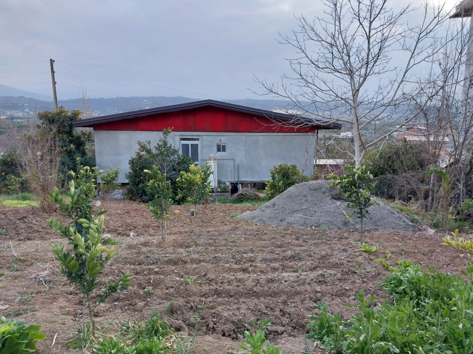 نمای پشتی ویلا