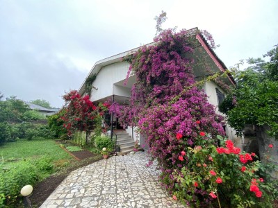 واحد یک خوابه زیبا در رضوان شهر