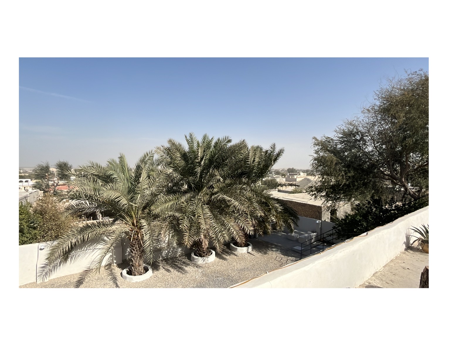 حیاط و ویو