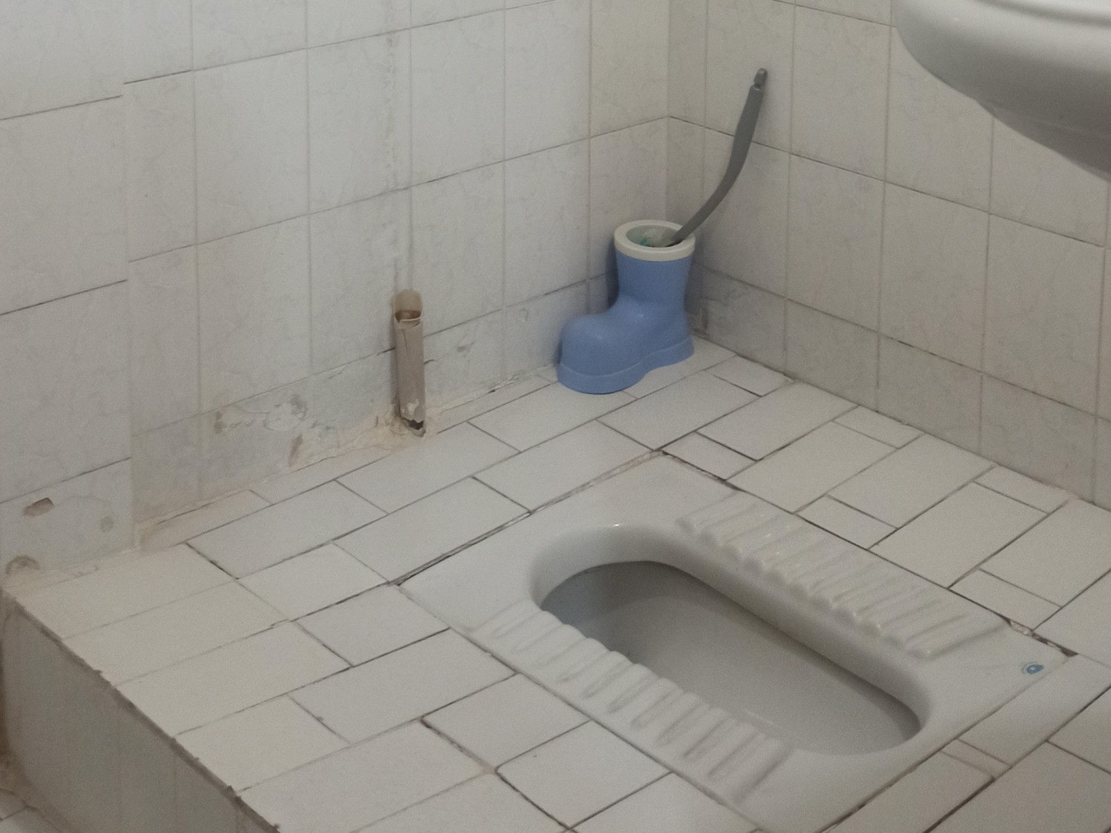 سرویس بهداشتی سرویس بهداشتی