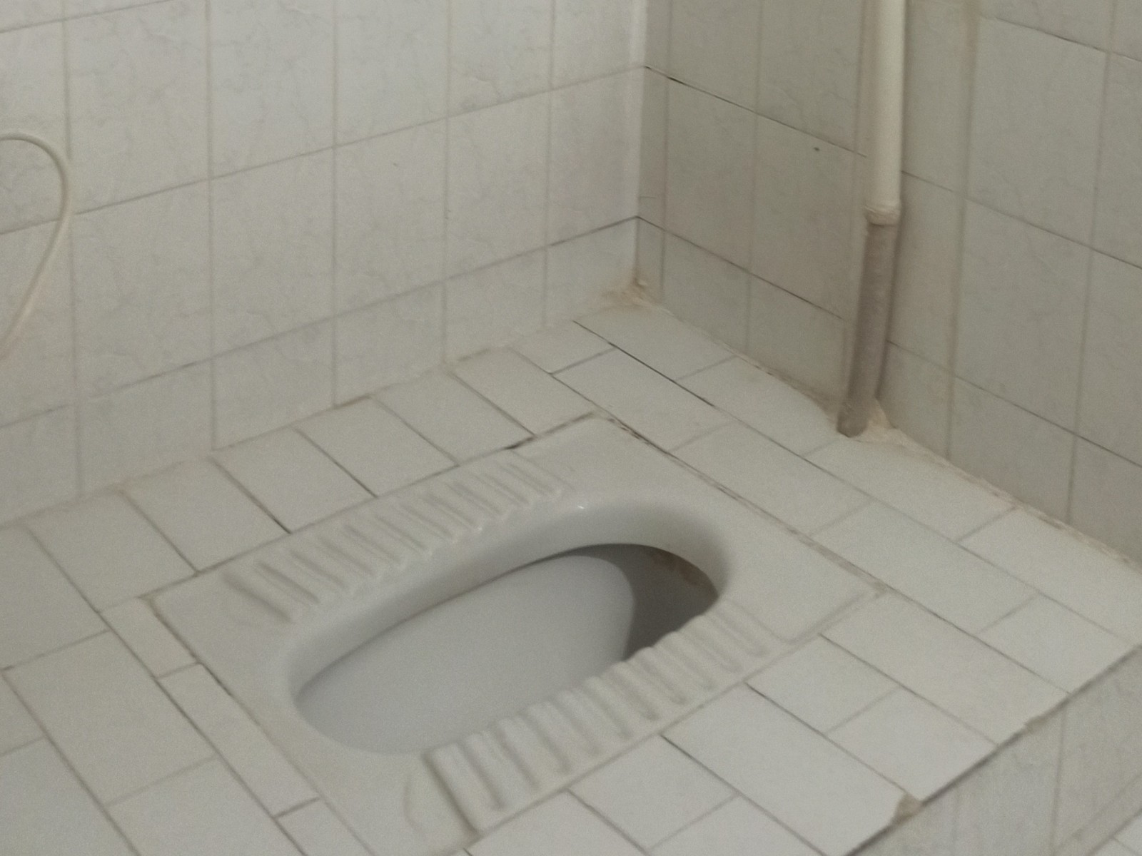 سرویس بهداشتی سرویس بهداشتی