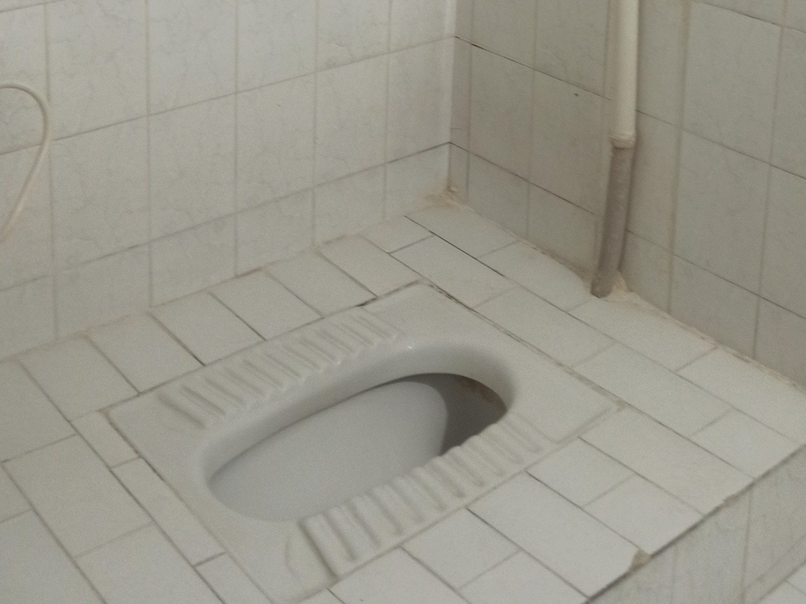 سرویس بهداشتی سرویس بهداشتی