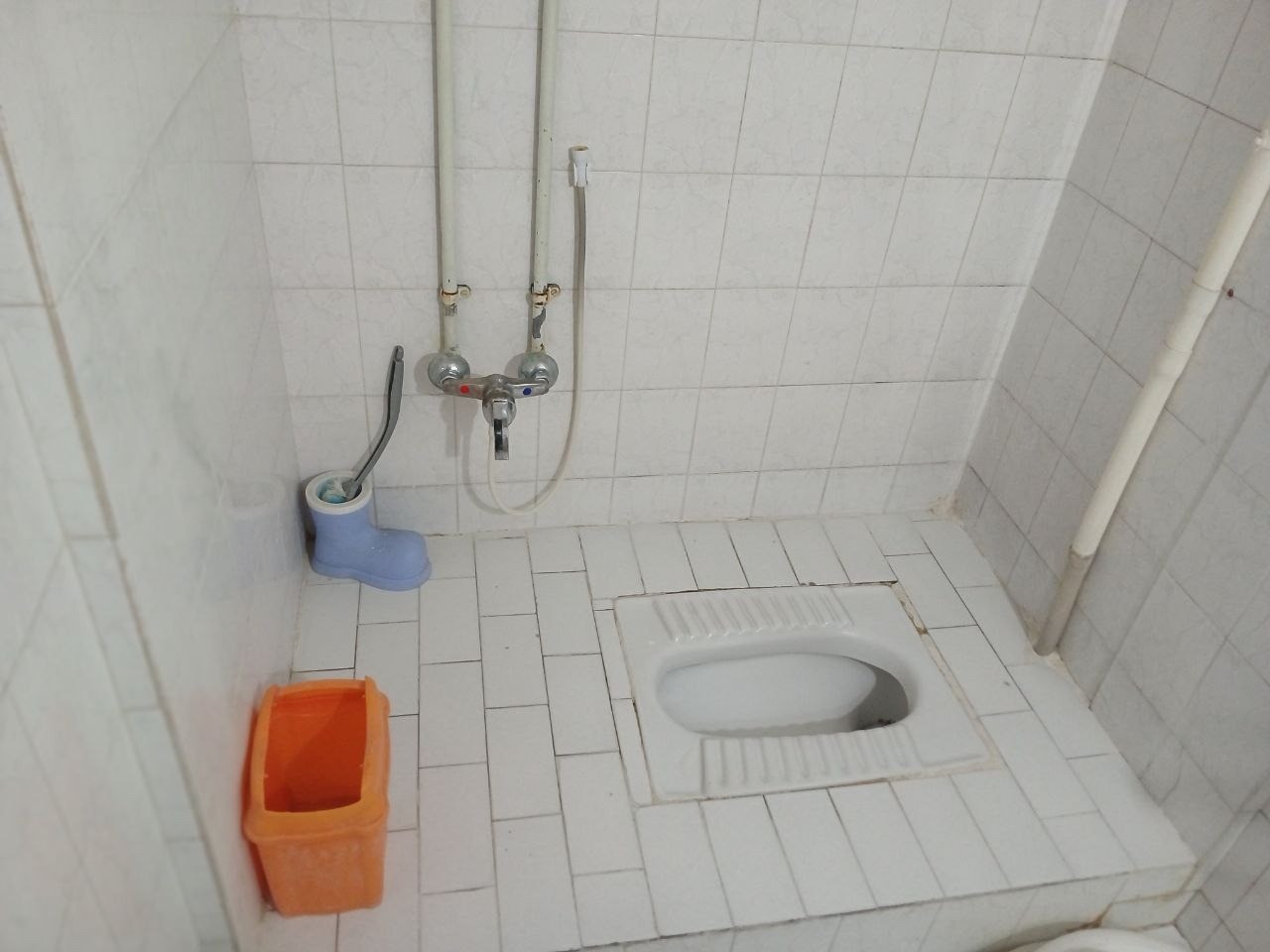 سرویس بهداشتی