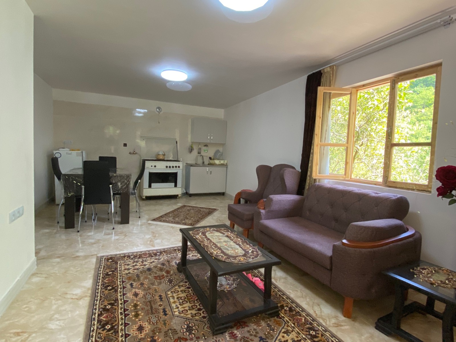 اتاق پذیرایی و آشپزخانه