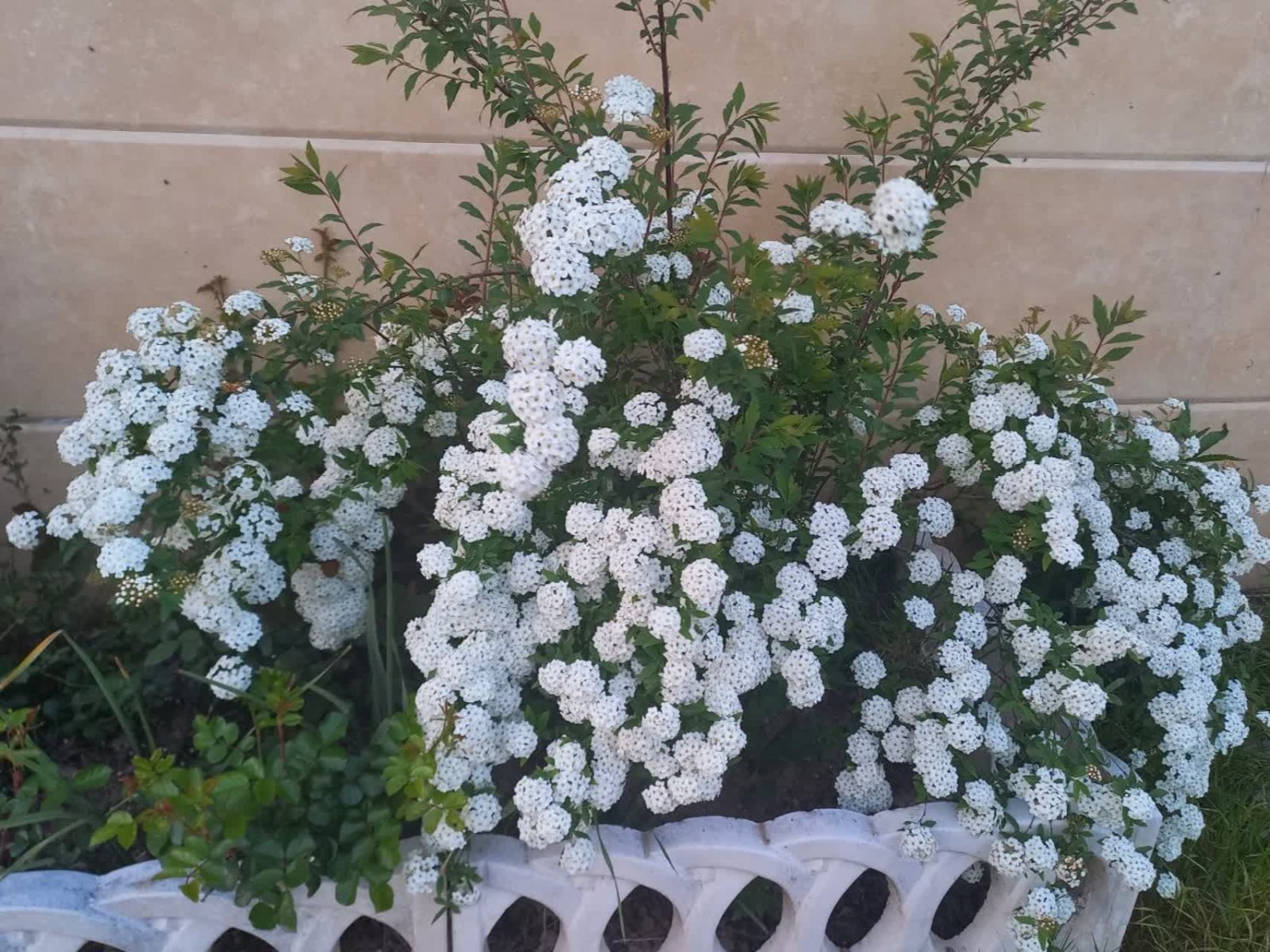 نمای بیرونی ساختمان