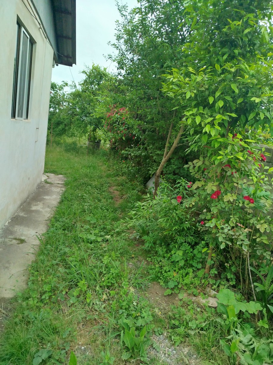 ورودی محوطه