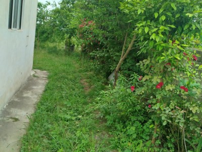 "ویلای یک خوابه رحیم پور"