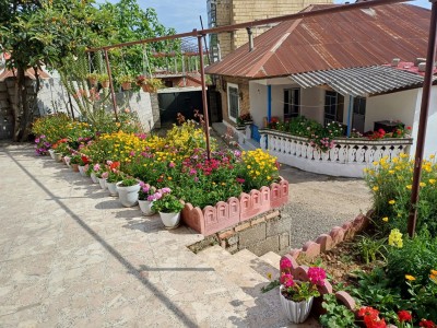 ویلای دو خوابه درکنار جنگل