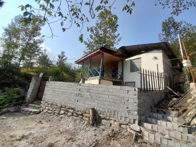 کلبه یک خوابه با ویوی جنگل
