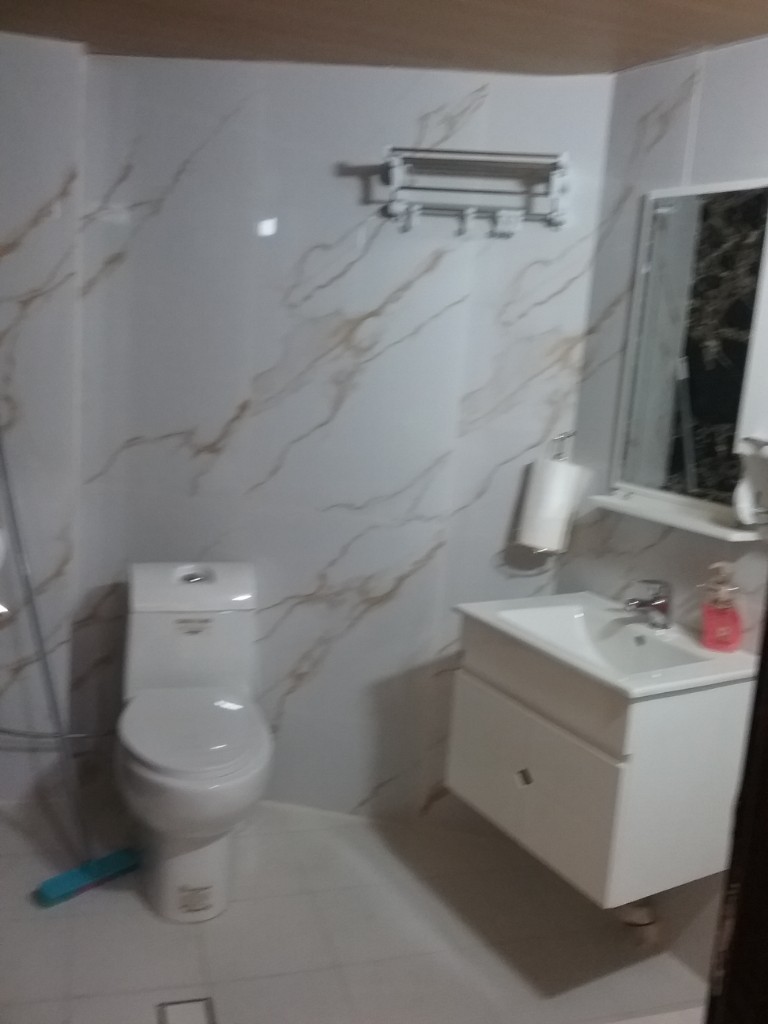 سرویس بهداشتی