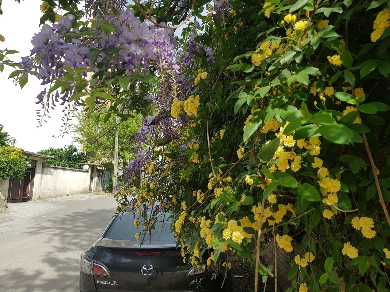 نمای بیرونی ساختمان