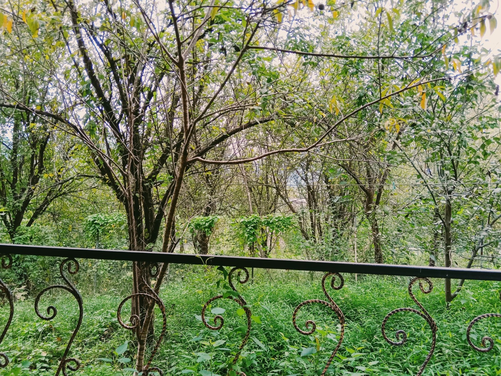 نمای بیرونی ساختمان