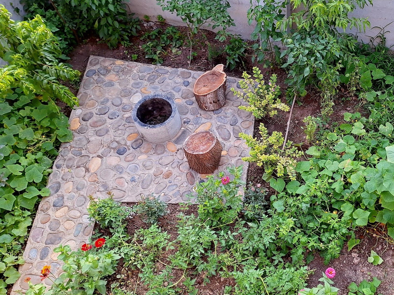باغچه