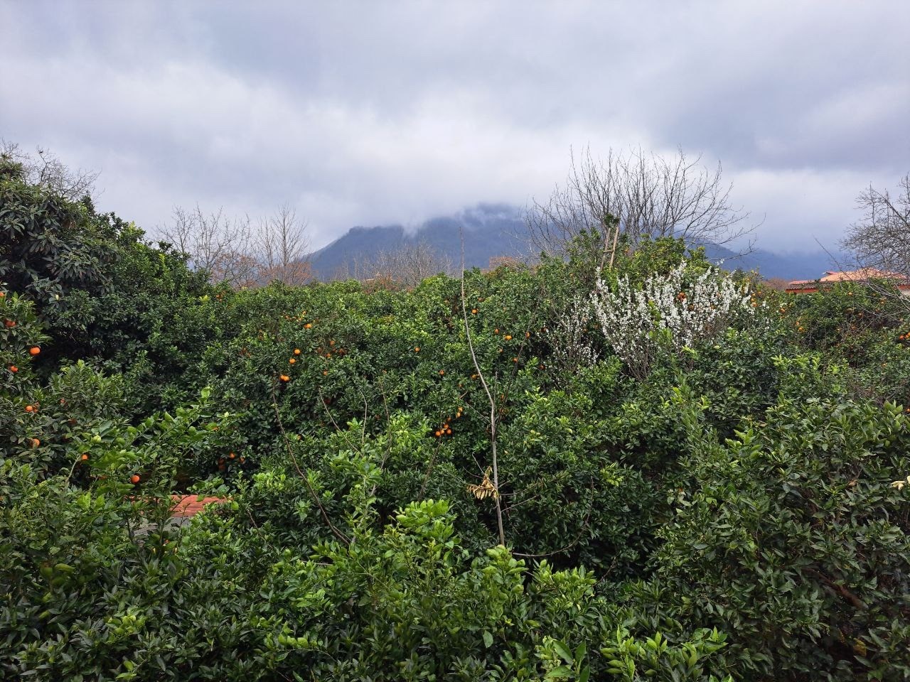 نمای بیرونی ساختمان نمای بیرونی ساختمان