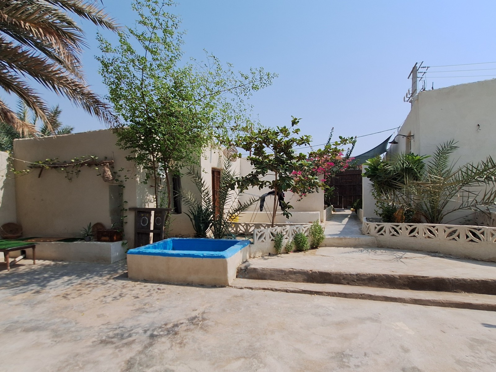 حیاط