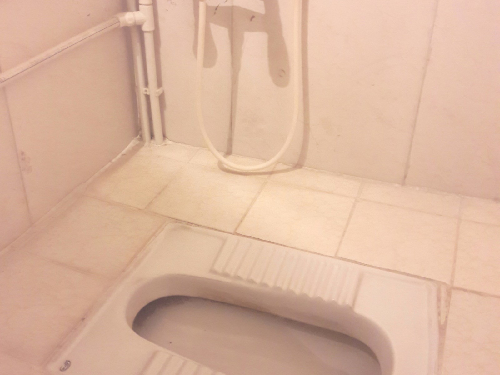 سرویس بهداشتی