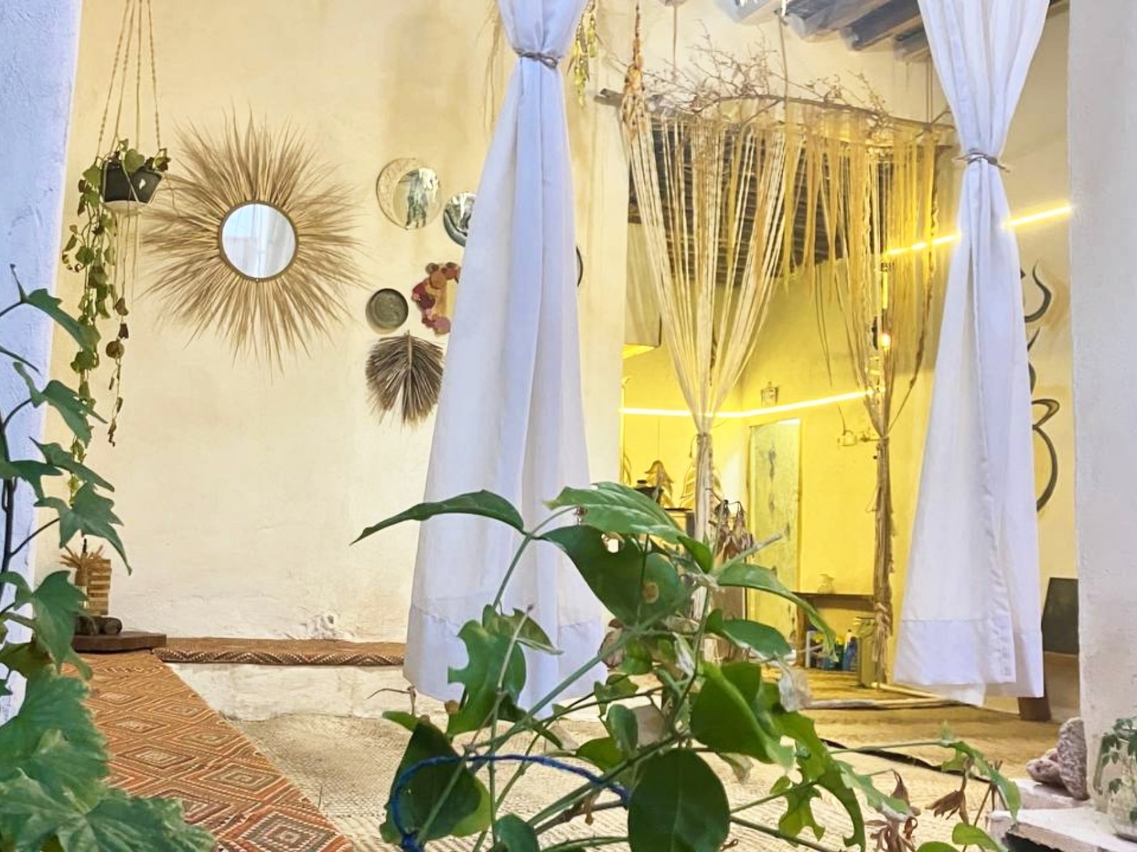 حیاط تولتک