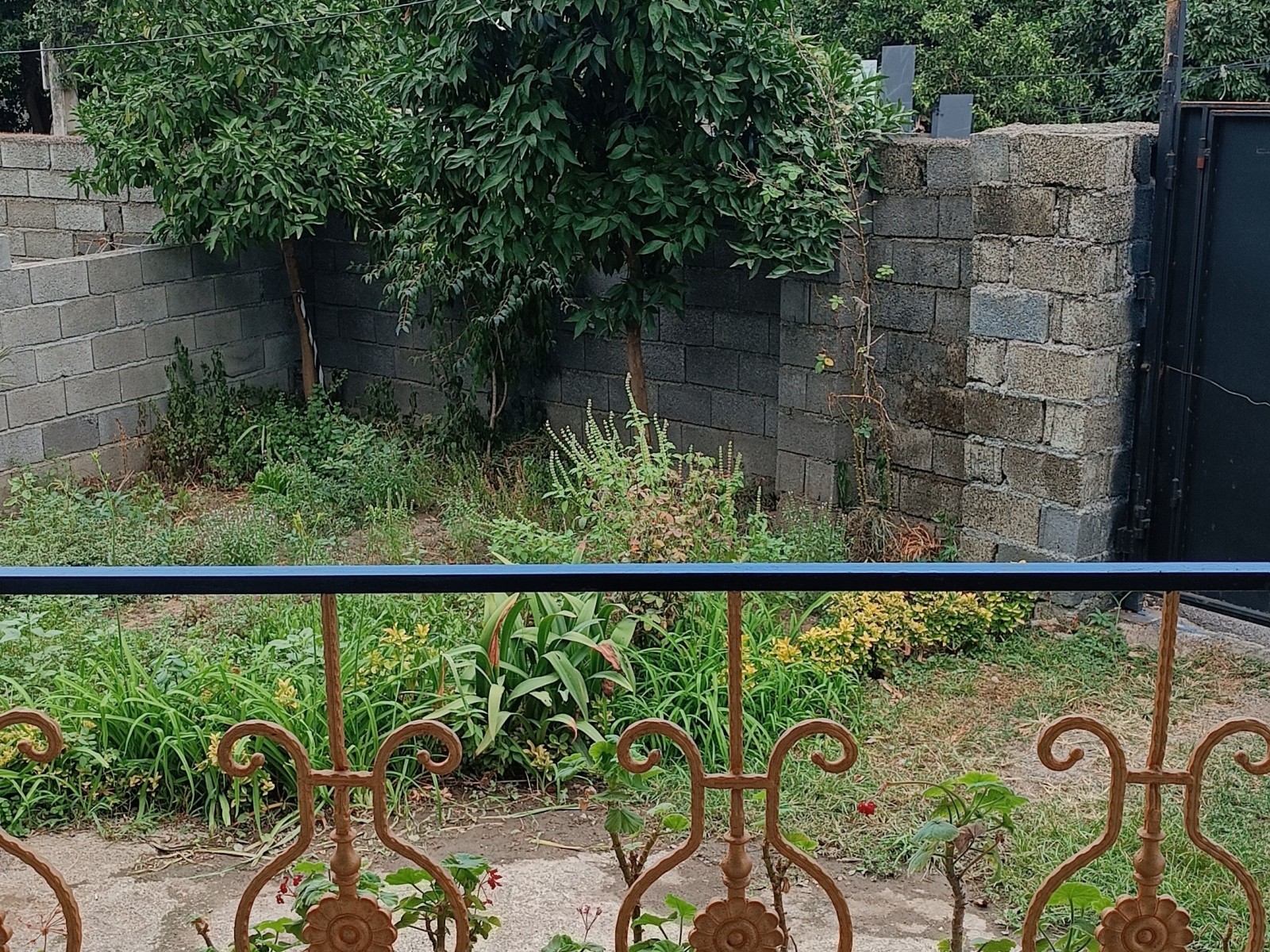 نمای بیرونی ساختمان